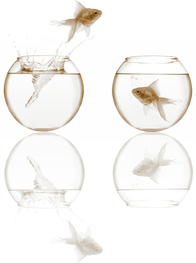 Umzugsmanagement Symbolfoto